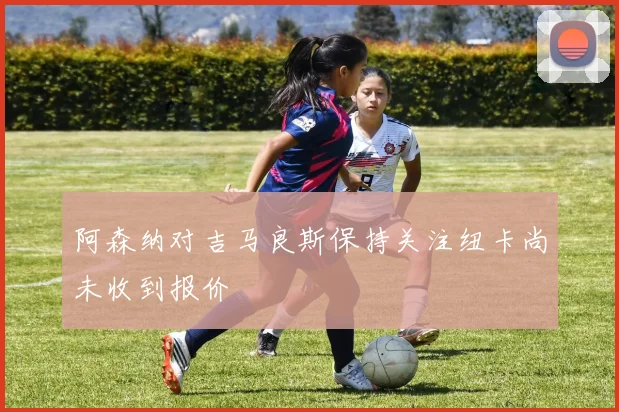 阿森纳对吉马良斯保持关注纽卡尚未收到报价